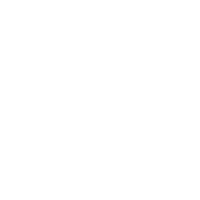 Traveler storage for shoppers