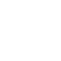 Traveler storage for tourist